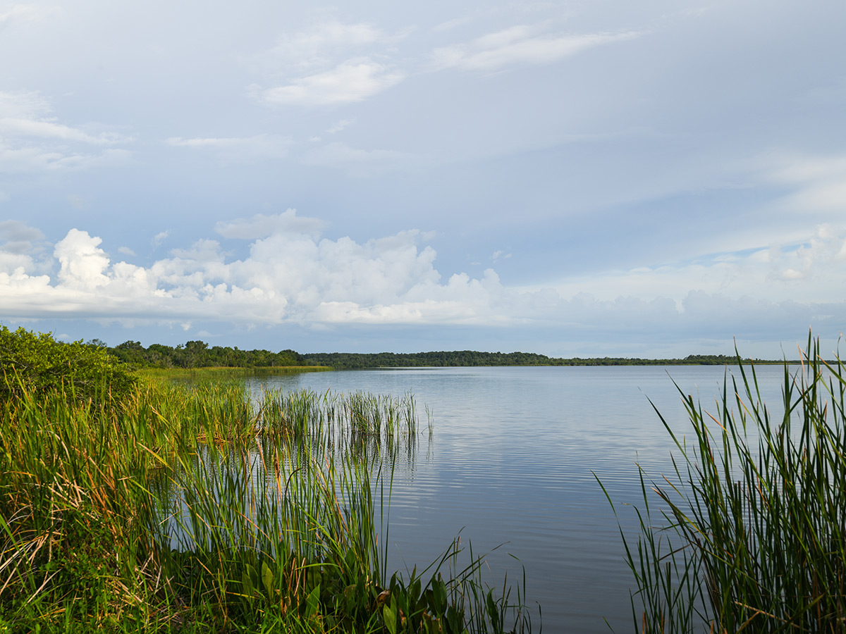 Florida lake stocking