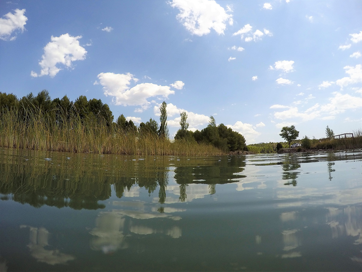 Whitefish River stocking