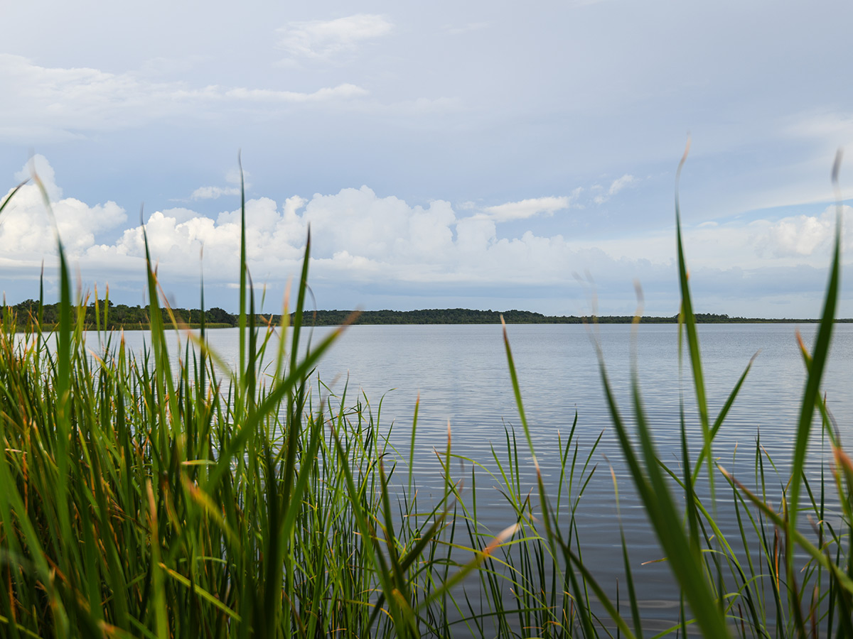 Thompson River stocking