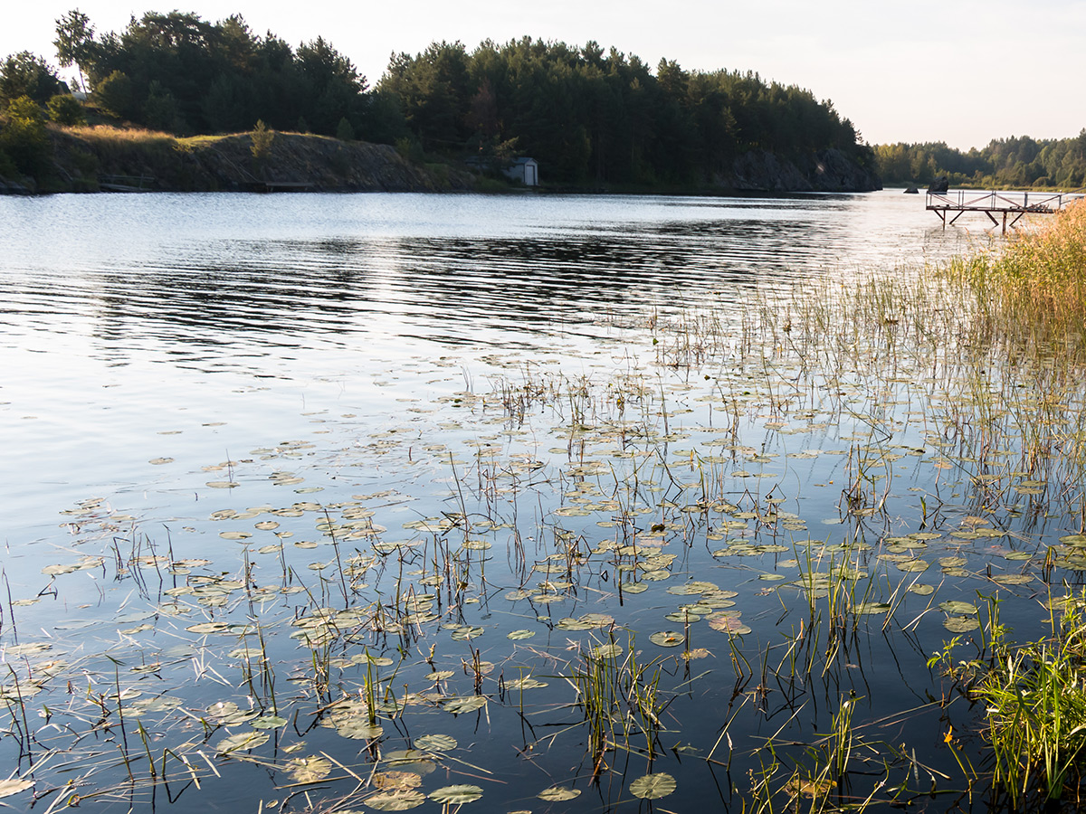 Thomas Pond stocking